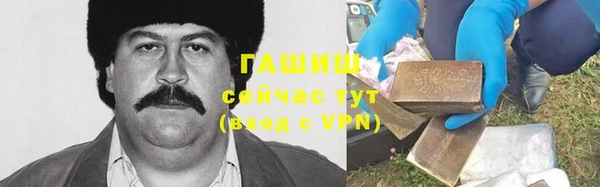 мет Алексин