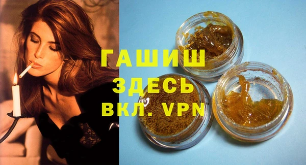 мет Алексин
