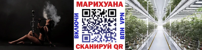 закладка  Яхрома  Канабис Amnesia 